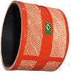 Interc. O-500 RSDD da marca Mercedes-Benz - Códigos: JVS 101.100 KP-V, 664 528 7682